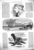 Original Old Antique Print 1865 William Darling Pier Bognor Sussex Sea-Bear