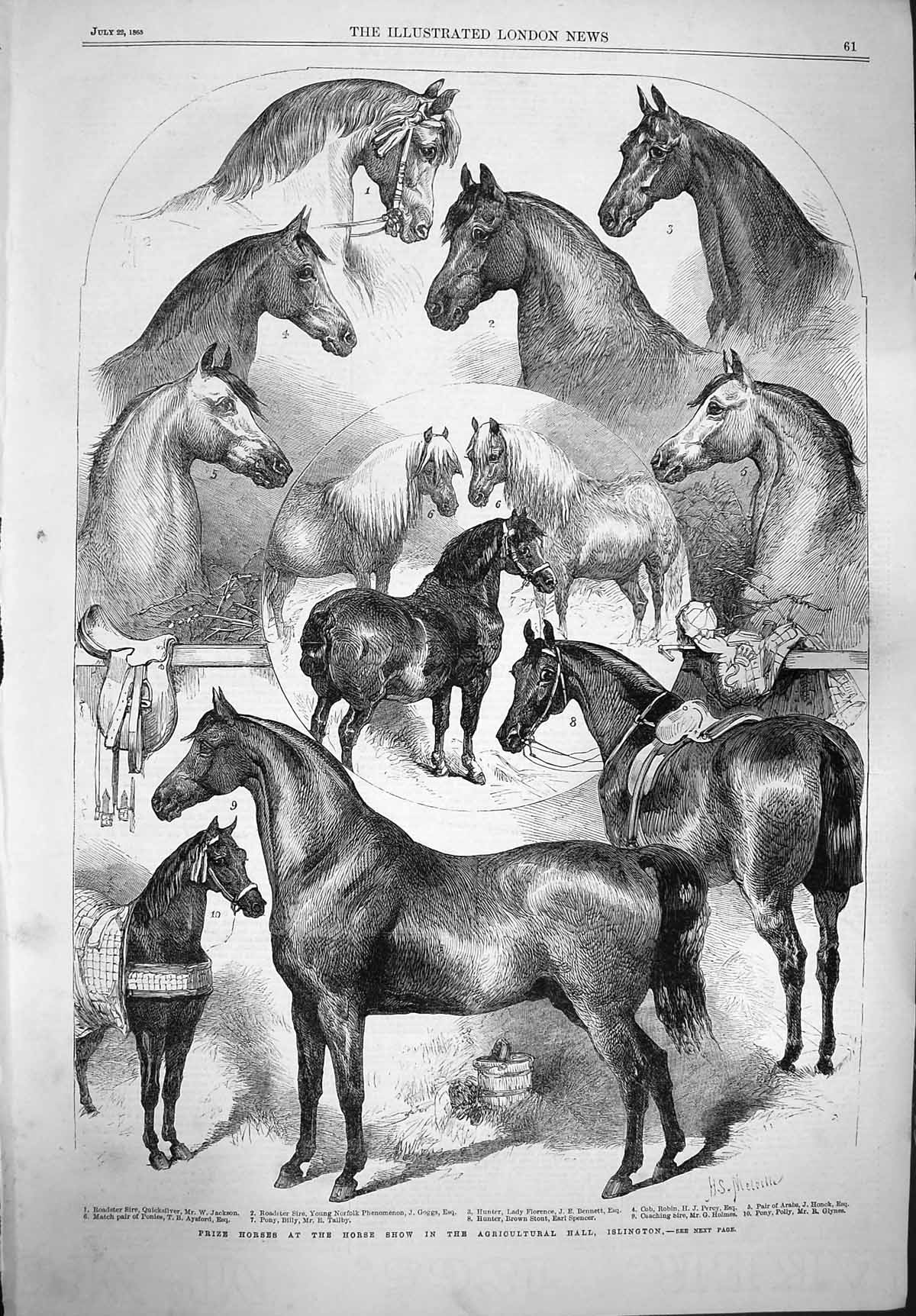 Original Old Antique Print 1865 Prize Horses Show Agricultural Hall Islington