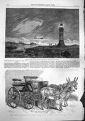Old Antique Print 1865 Ship Wreck Athens Table Bay Cape Good Hope Donkeys 19th