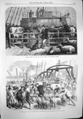 Old Antique Print 1865 Foreign Cattle Ship Batavier Steamer Whark London 19th