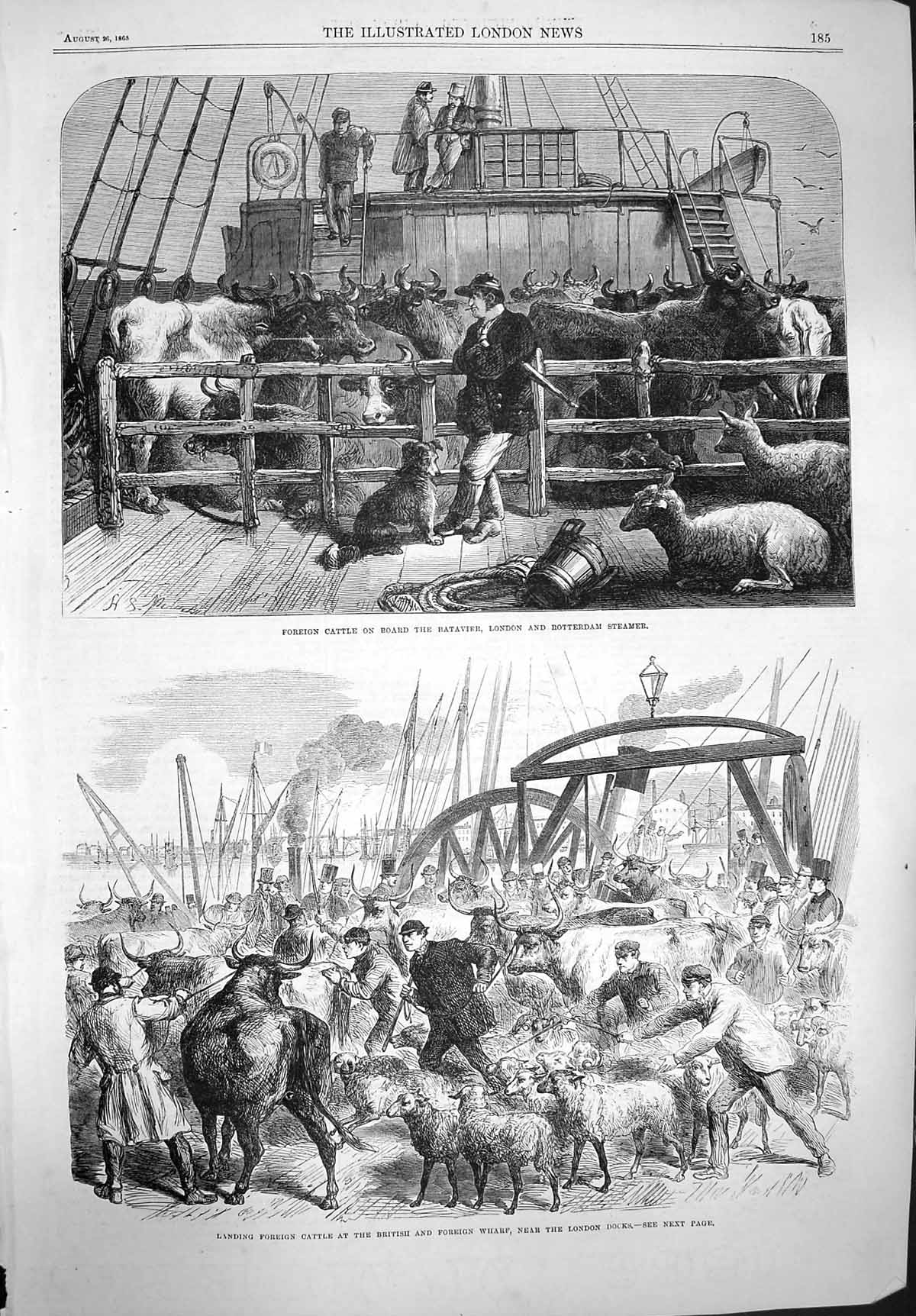 Old Antique Print 1865 Foreign Cattle Ship Batavier Steamer Whark London 19th