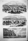 Old Antique Print 1865 New Zealand Chief William Thompson Carey Opossum 19th
