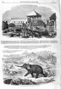 Old Antique Print 1866 Palace Rajah Cooch Behar Arabs Abyssinia Elephant 19th