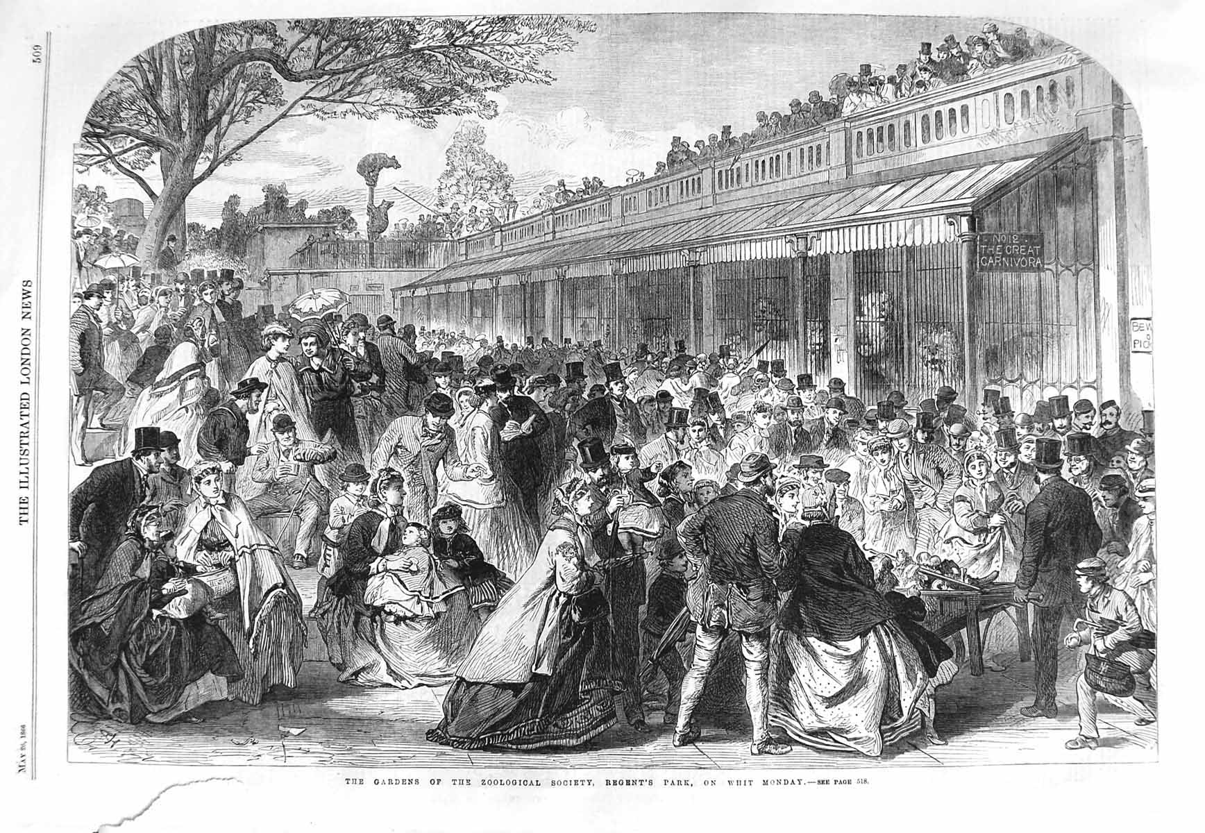 Original Old Antique Print 1866 Gardens Zoological Society Regent'S Park Whit