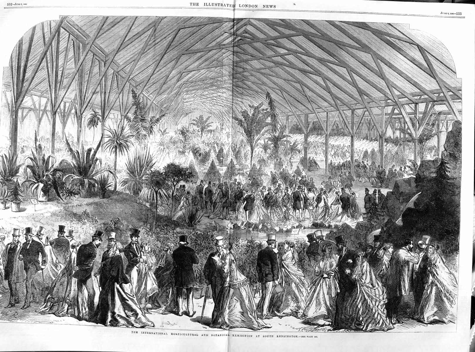 Old Antique Print 1866 Horticultural Botanic Exhibition South Kensington 19th