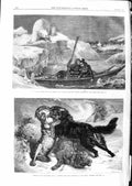 Original Old Antique Print 1866 Lapland Romance Cape North Sheep Wolf Fighting