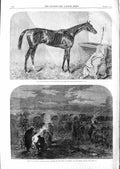 Original Old Antique Print 1866 Duke Horse Winner Goodwood Cup Field Sadowa War