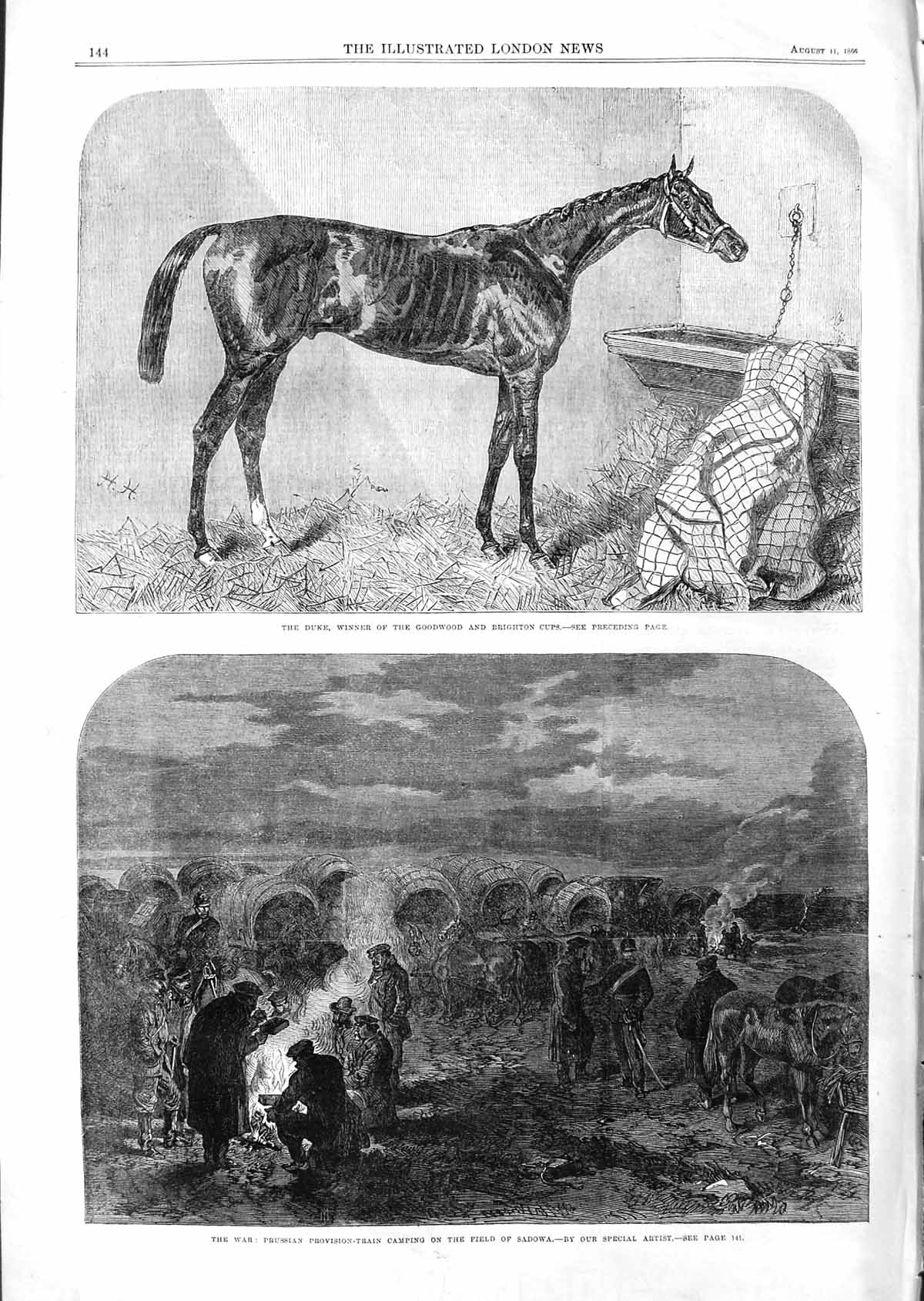 Original Old Antique Print 1866 Duke Horse Winner Goodwood Cup Field Sadowa War