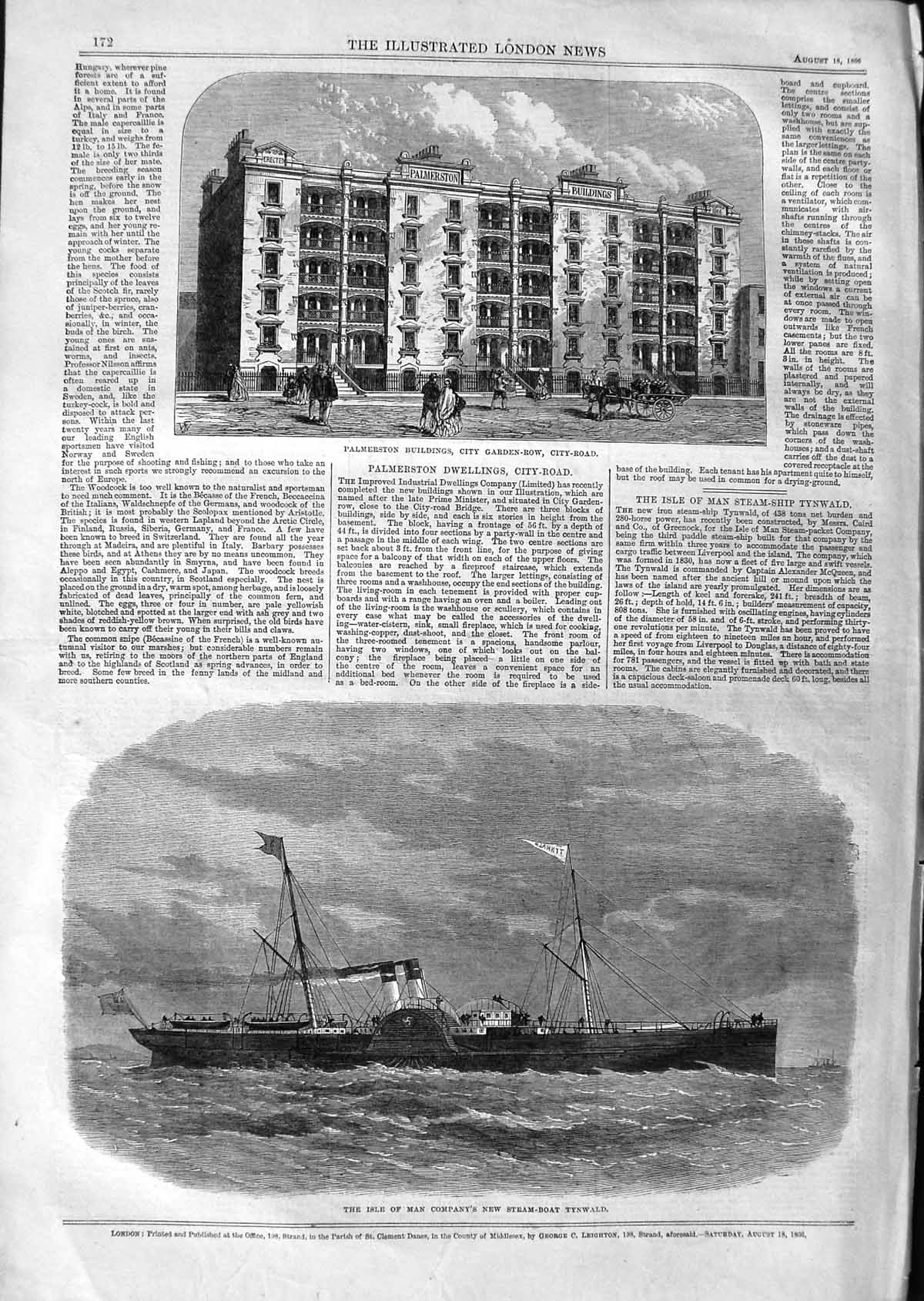 Original Old Antique Print 1866 Palmerston Buildings Garden-Row Isle Ship 19th