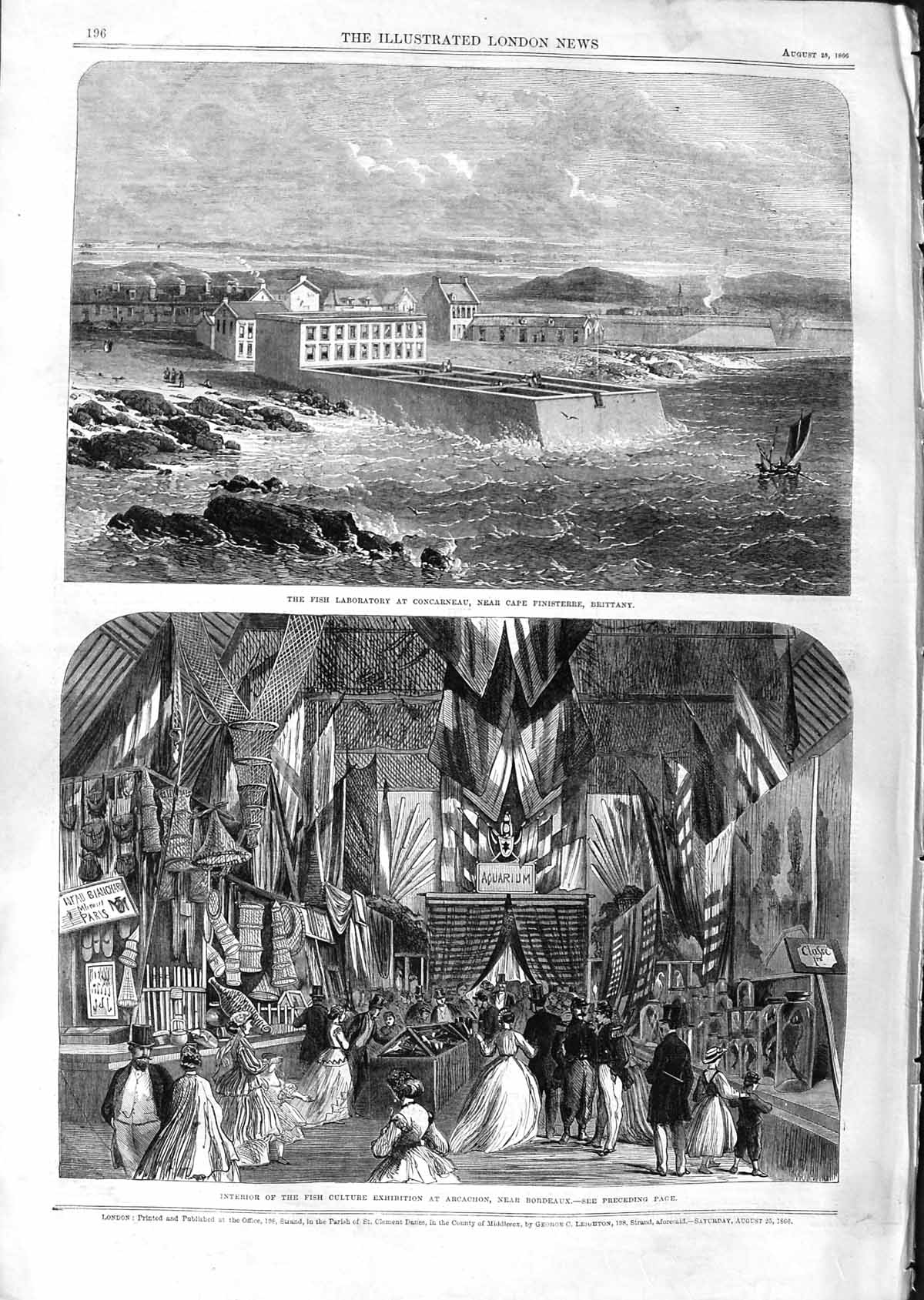 Original Old Antique Print 1866 Fish Laboratory Concarneau Cape Brittany France