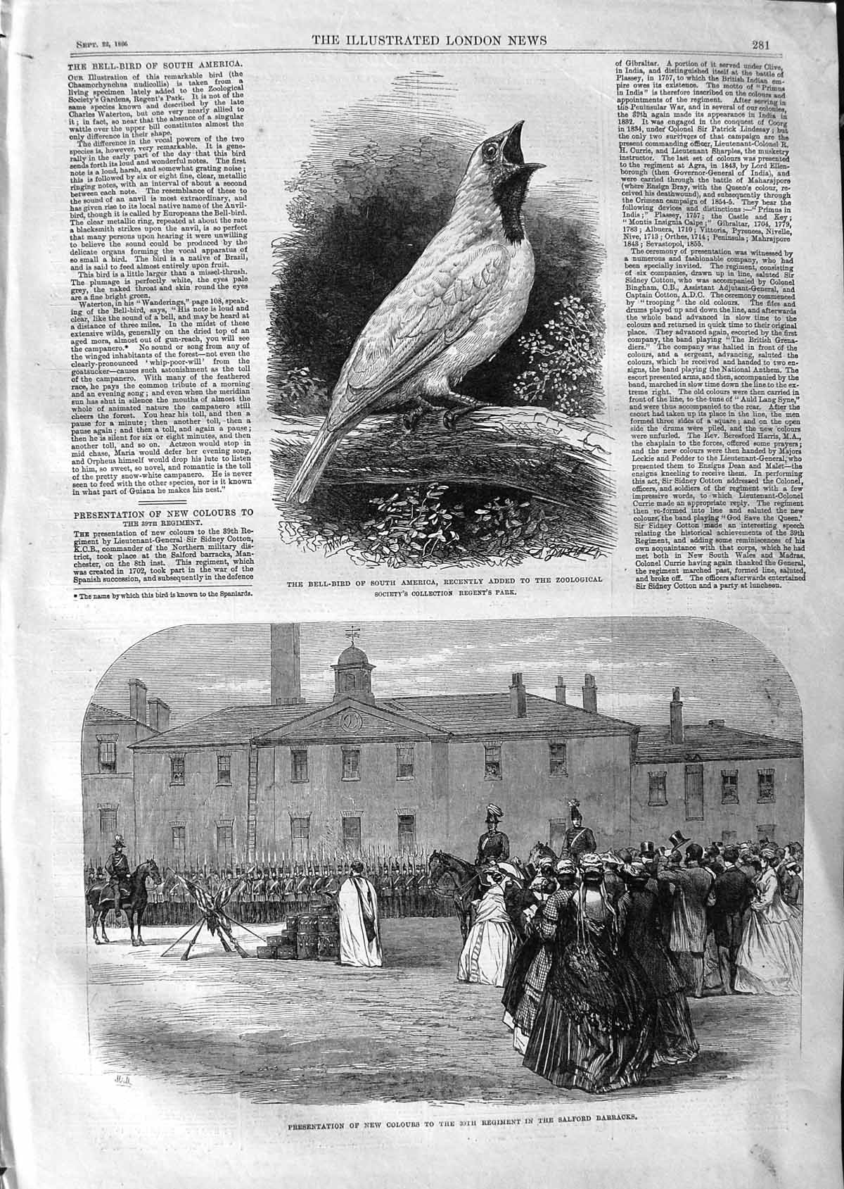 Original Old Antique Print 1866 Bell Bird South America Siers Salford Barracks