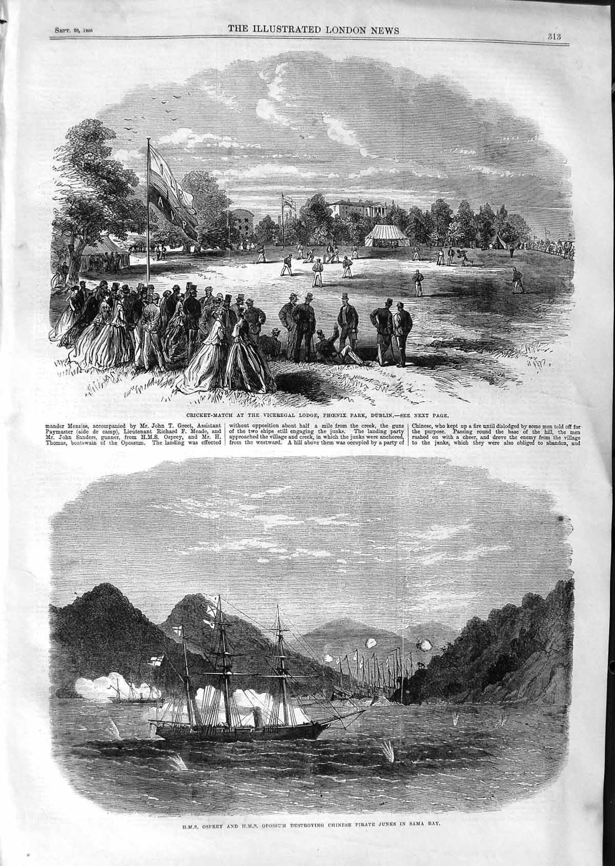 Original Old Antique Print 1866 Cricket Phoenix Dublin Ship Osprey Opossum Sama