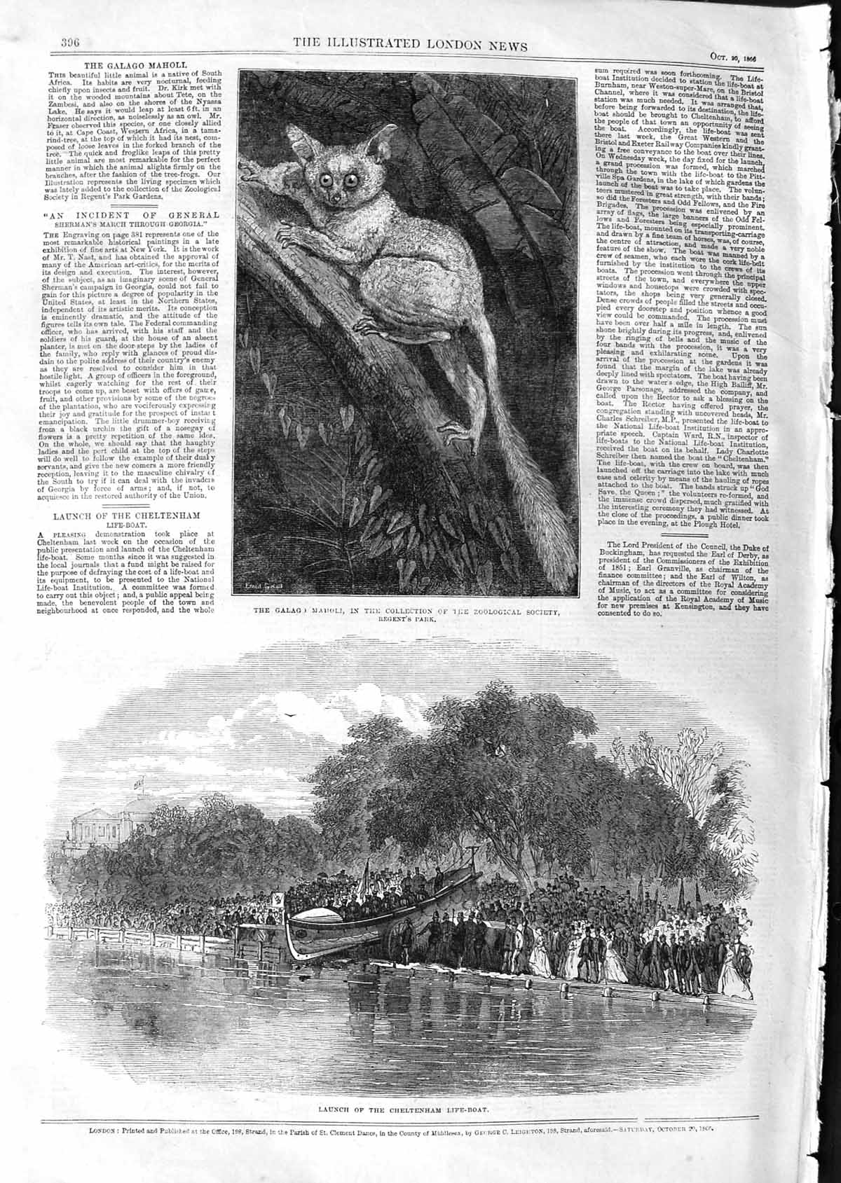 Old Antique Print 1866 Galago Maholi Regent'S Park Cheltenham Life-Boat 19th