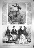 Old Antique Print 1866 Paris Fashion November Markhore Goat Regent'S Park 19th