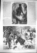 Original Old Antique Print 1867 Monkey Regent'S Park Ferreting Hunting Sport