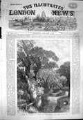Original Old Antique Print 1867 View Country Lane Surrey England Hulme 19th