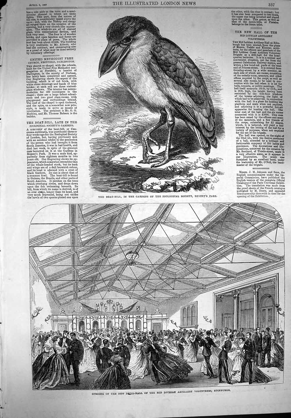 Old Antique Print 1867 Boat-Bill Regent'S Park Drill Hall Edinburgh Army 19th