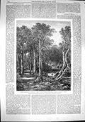 Old Antique Print 1867 Paris International Exhibition Wood Trees Chester 19th