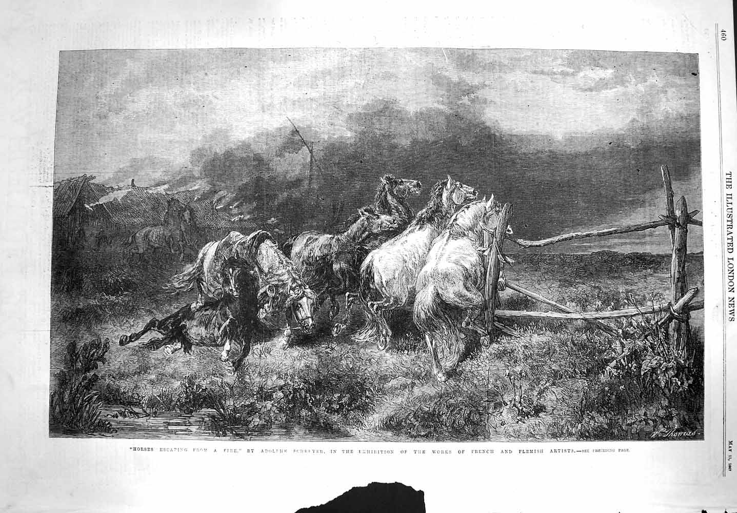 Original Old Antique Print 1867 Scene Horses Escaping Fire Adolphe Schreyer Art