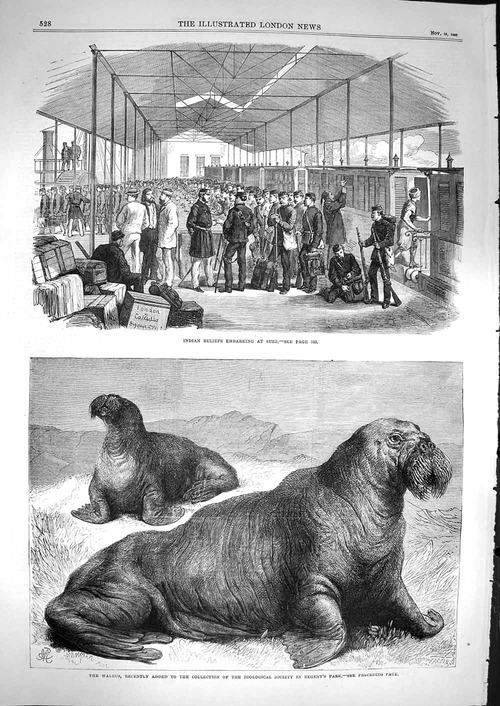 Old Antique Print 1867 Indian Reliefs Embarking Suez Walrus Regent'S Park 19th