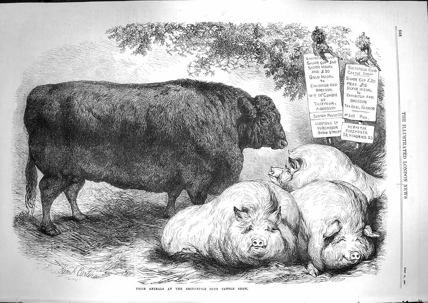 Original Old Antique Print 1867 Prize Animals Smithfield Club Cattle Show Pigs