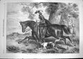 Original Old Antique Print 1868 Full Cry Lady Horse Hunting Hounds Dog Tayler