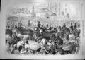 Old Antique Print 1868 Prince Alfred Australia Adelaide City Corporation 19th