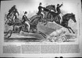 Original Old Antique Print 1868 Horse Show Agricultural Show Islington Derwent