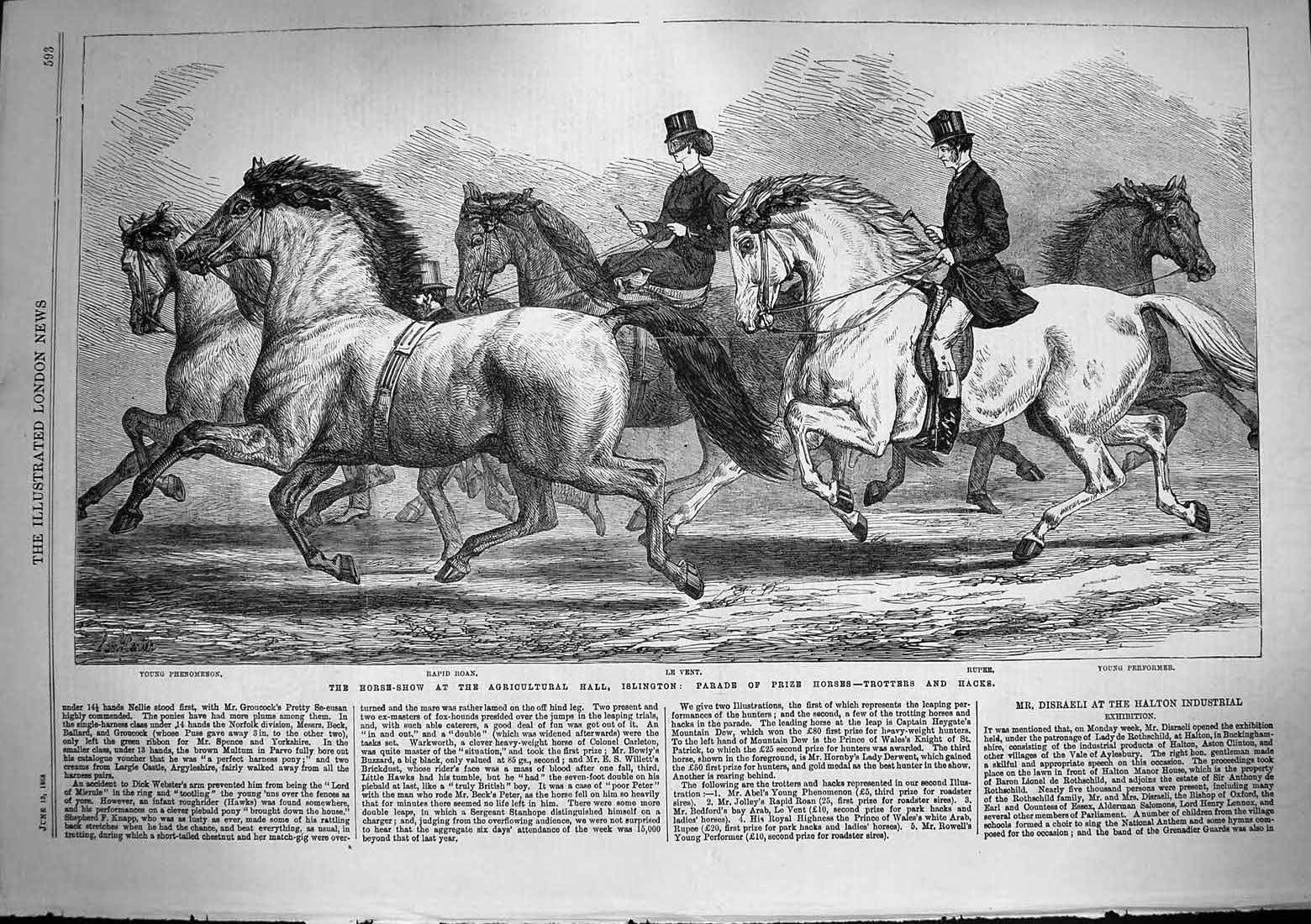 Old Antique Print 1868 Horse Show Agricultural Hall Islington Roan Rupee 19th