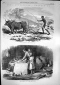 Original Old Antique Print 1868 Abyssinia Native Ploughing Tigre Woman Grinding