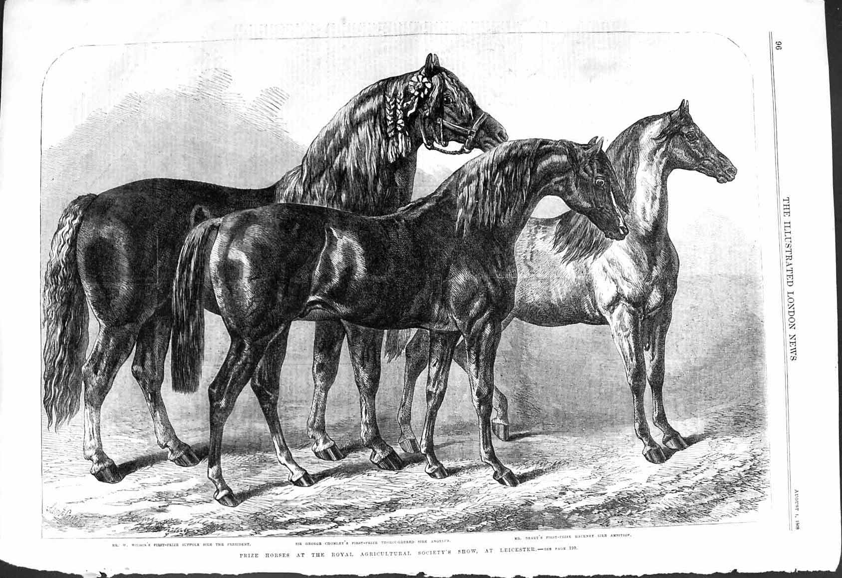 Old 1868 Prize Horses Show Leicester Wilson Suffolk Chomley Beart Hac Victorian