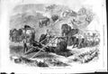 Antique Old Print 1868 Abyssinian Expedition Elephant Train Animals Natives
