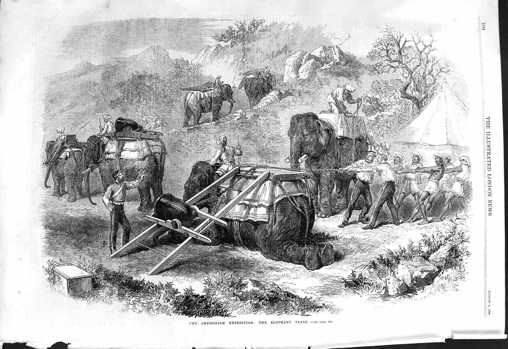 Antique Old Print 1868 Abyssinian Expedition Elephant Train Animals Natives