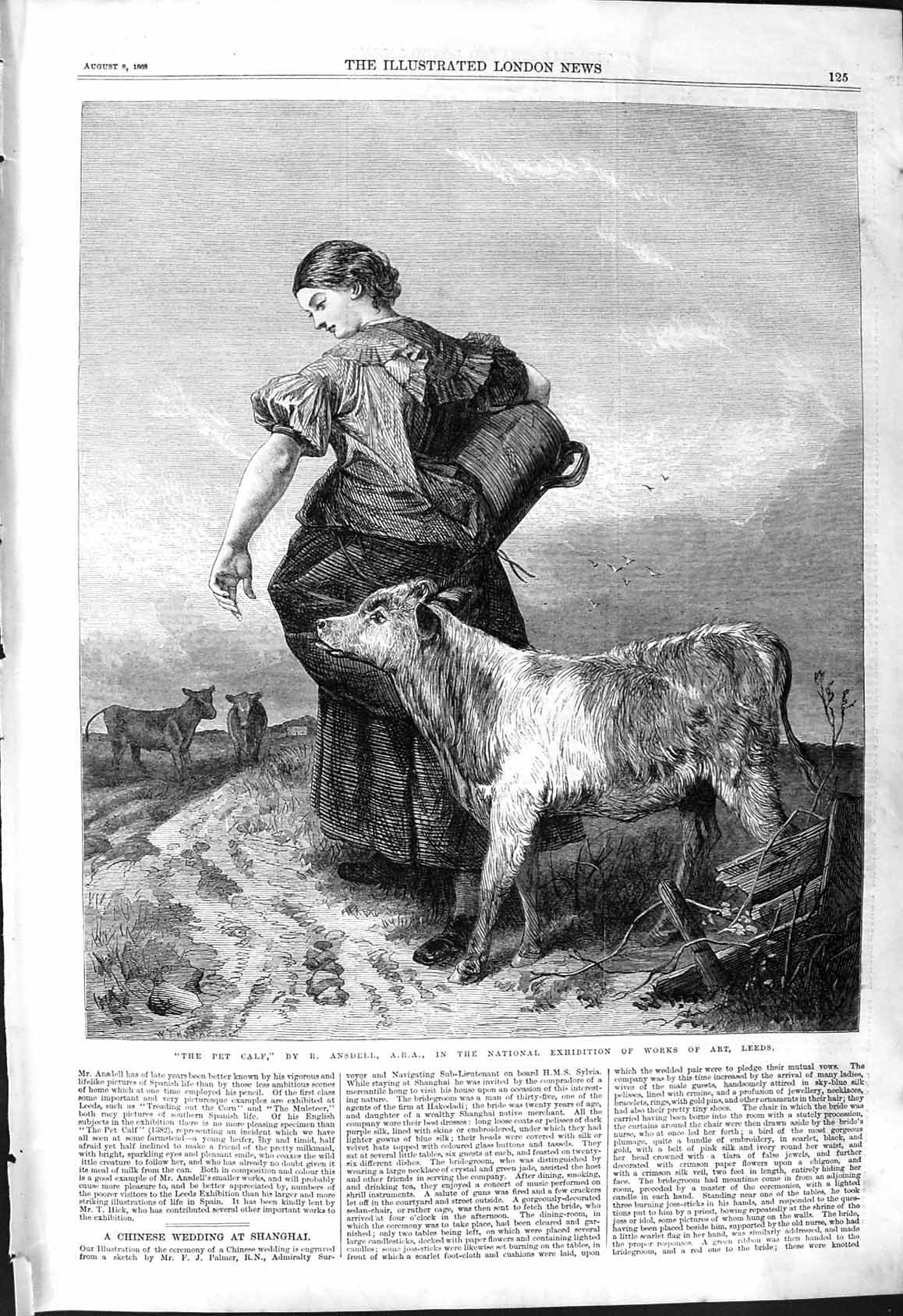 Old 1868 Pet Calf Farm Girl Animals Agriculture Ansdell Exhibition Ar Victorian