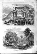 Old 1868 Magistrates Rothesay Marquis Bute Cook Tamarind Tree Tahiti Victorian