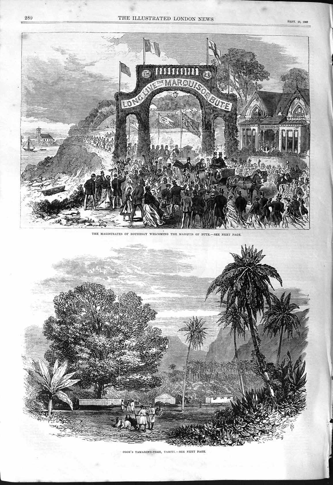 Old 1868 Magistrates Rothesay Marquis Bute Cook Tamarind Tree Tahiti Victorian