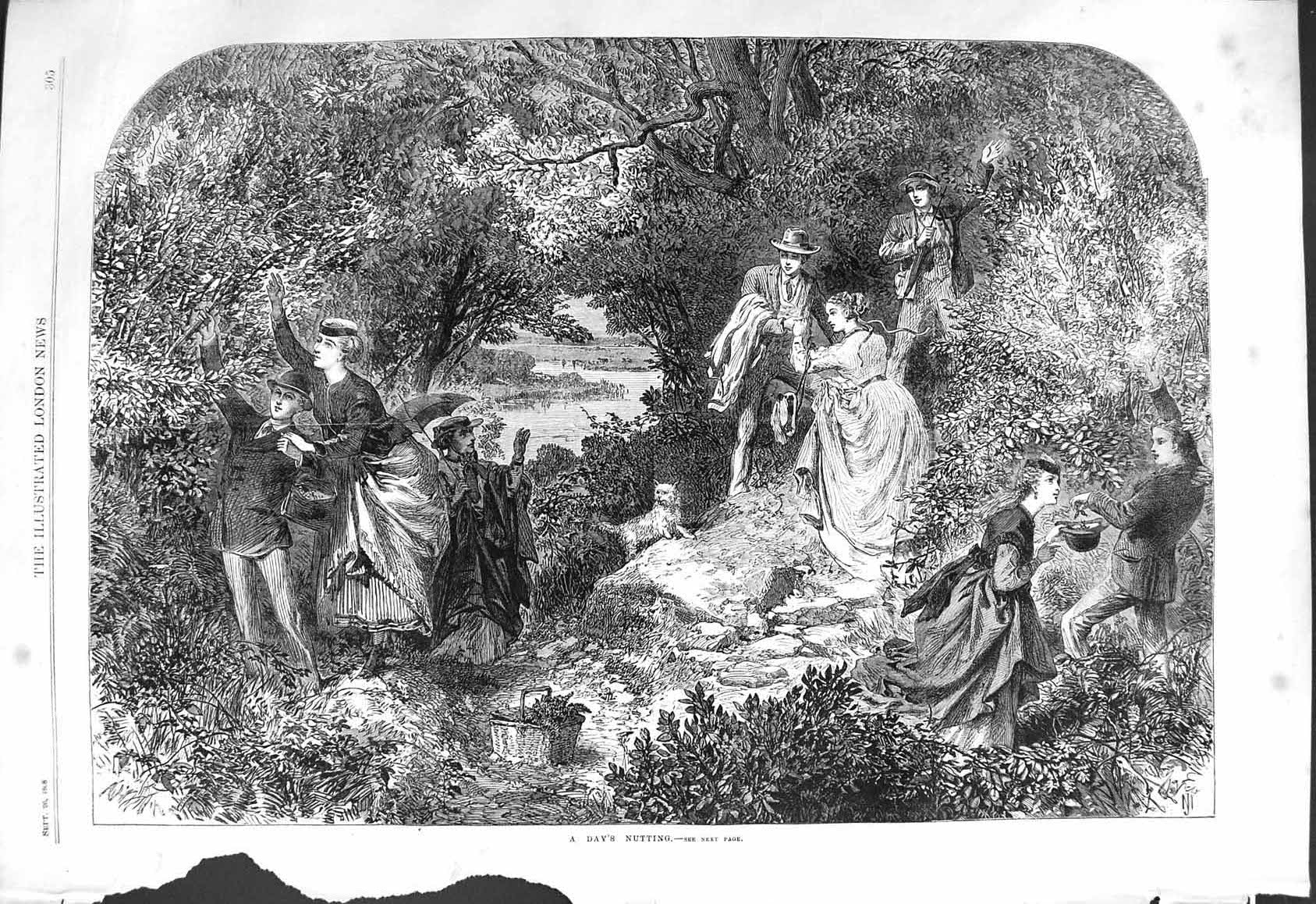 Old Antique Print 1868 Day Nutting Picking Trees Summer Scene Agriculture 19th