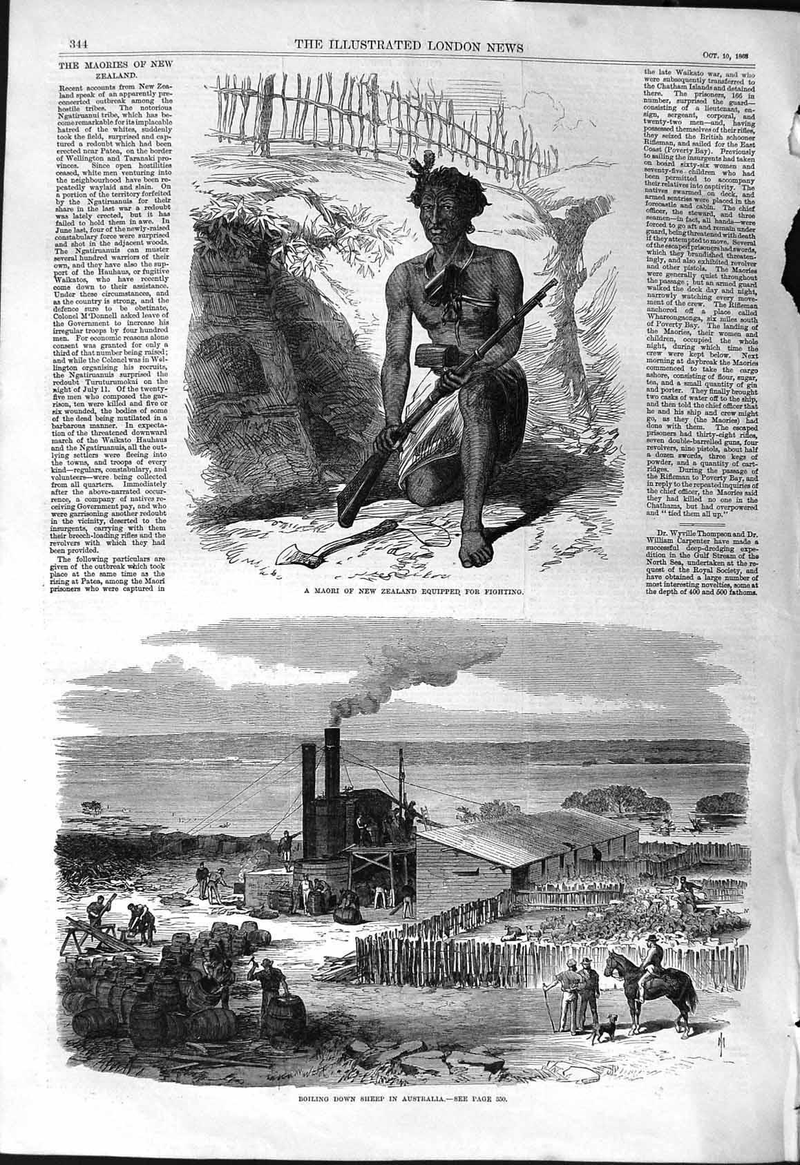 Old 1868 Maori New Zealand Equipped Fighting Boiling Down Sheep Austr Victorian