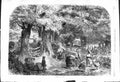 Antique Old Print 1868 Women Children Gathering Acorns Tree Agriculture Scene