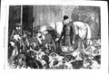 Old 1868 Frost-Bound Hounds Dogs Horses Hunting Huntsmen Sport Carter Victorian