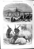 Old 1868 Foundation Stone Harbour Carnarvon Hungarian Mountain Sheep Victorian