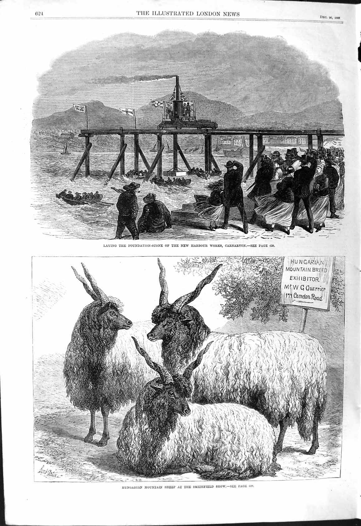 Old 1868 Foundation Stone Harbour Carnarvon Hungarian Mountain Sheep Victorian