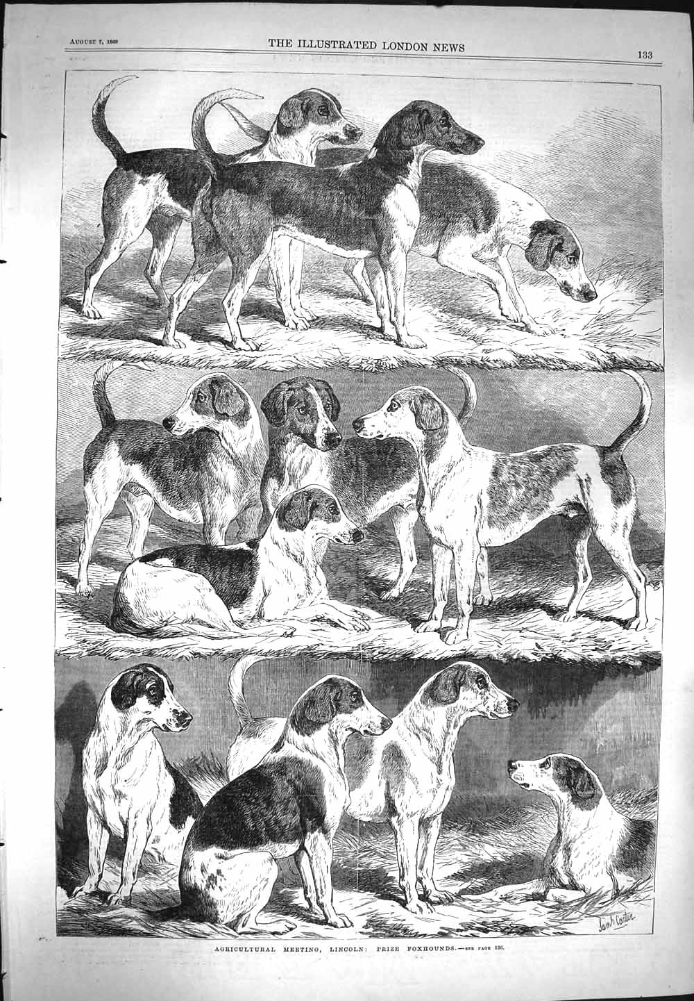 Old Antique Print 1869 Agricultural Meeting Lincoln Prize Foxhounds Dogs 19th