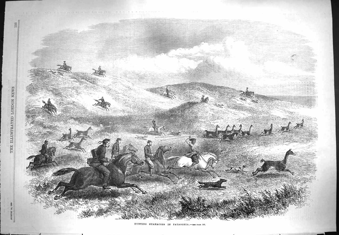 Original Old Antique Print 1869 Hunting Guanacoe Patagonia Sport Men Horses