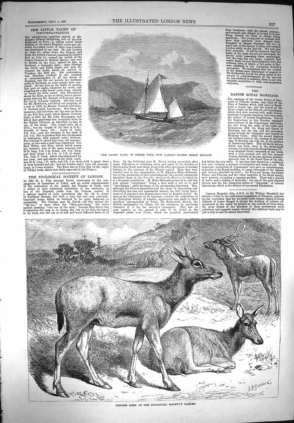 Old Antique Print 1869 Yacht Kate Chinese Deer Zoological Society Gardens 19th