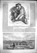 Original Old Antique Print 1869 Promenade Pier Douglas Isle Man Andaman 19th