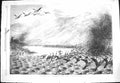 Old Antique Print 1869 Cormorants Birds Nest Magdalena Islands Magellan 19th