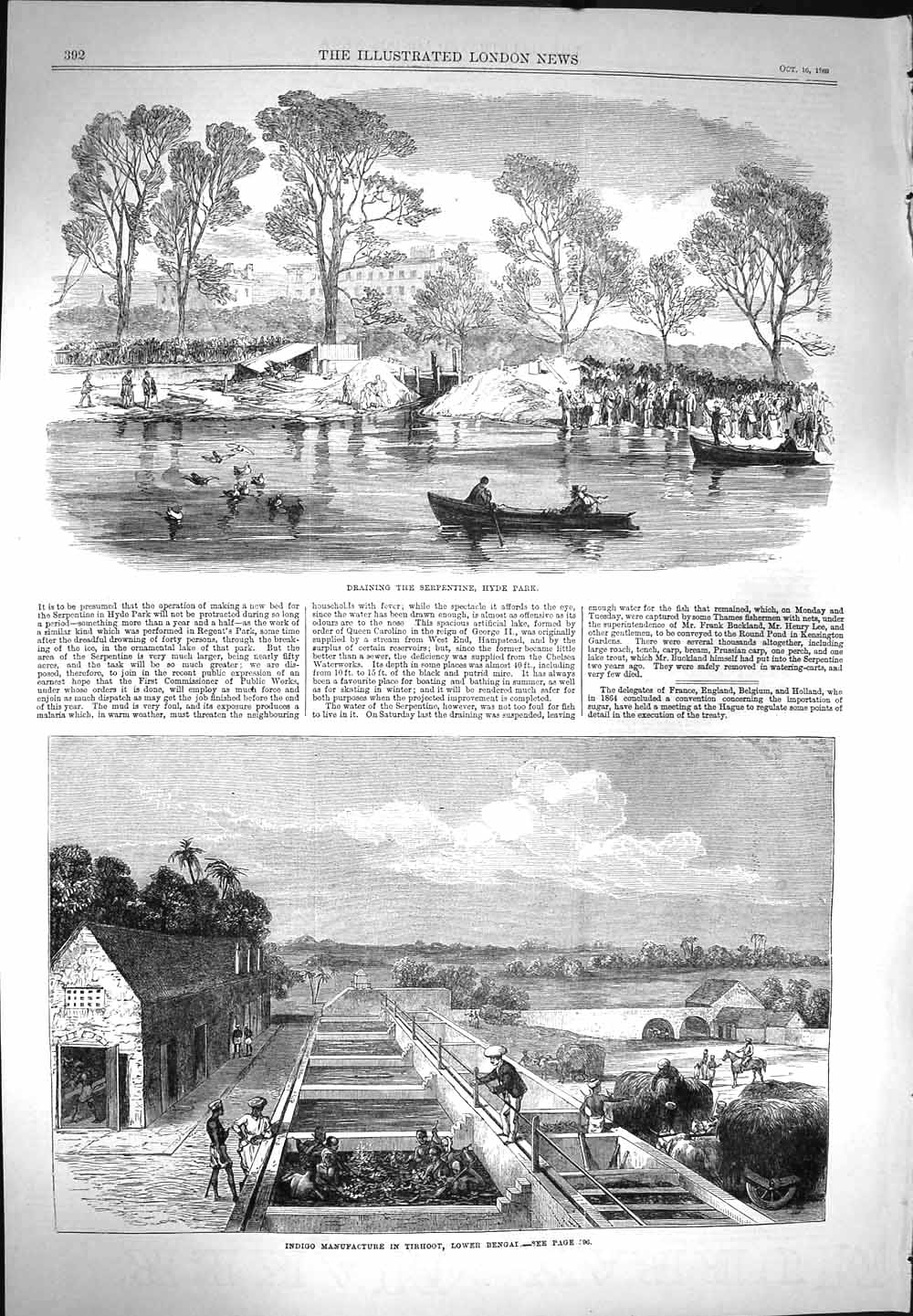 Original Old Antique Print 1869 Draining Serpentine Hyde Park Indigo Manu 19th