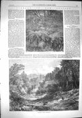 Original Old Antique Print 1869 Trees Kauminga Creek Wairarapa Bush New Zealand