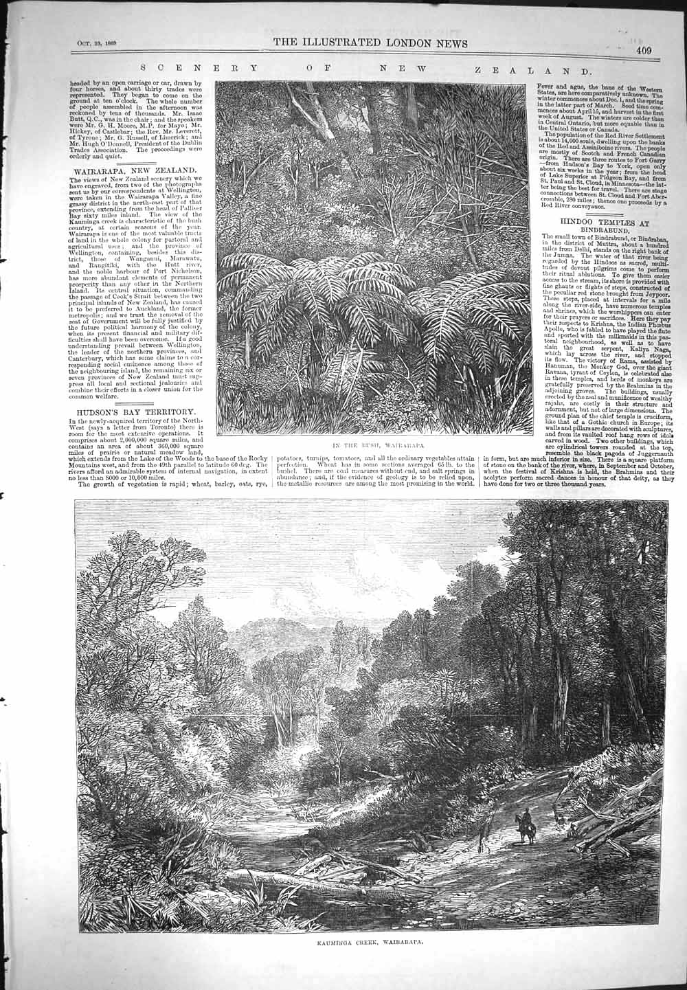Original Old Antique Print 1869 Trees Kauminga Creek Wairarapa Bush New Zealand